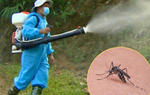 50.000 ca mắc sốt xuất huyết trong 5 tháng: Chuyên gia hướng dẫn phòng bệnh