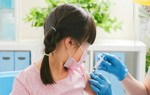 Khuyến cáo của bác sĩ khi Hà Nội ghi nhận ca viêm não Nhật Bản đầu tiên trong năm