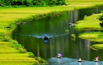 Vụ cô gái 'gặp ma' ở Ninh Bình: Sở Du lịch đề nghị công an vào cuộc xác minh