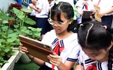 Học sinh thích thú khi dùng AI tìm hiểu các loại cây cảnh trong khu vườn trường 