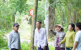 Người dân phản ánh trại heo 2.000 con ở Cà Mau gây ô nhiễm môi trường, lãnh đạo xã nói gì?