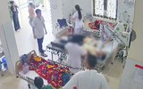 Bị đàn ong tấn công, người phụ nữ nhập viện với 49 con ong mắc trên đầu