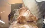 Camera ghi lại cảnh rung lắc trong trận động đất 4,2 độ ở Sơn La sáng 19-10