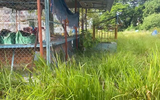 Khu văn hóa Hồ Nước Ngọt xuống cấp, cỏ dại um tùm: Cần Thơ kêu gọi đầu tư, đấu giá quyền khai thác