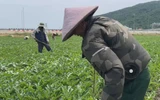 Áo chống nắng có quạt giúp người lao động bám đồng giữa trời nắng nóng 
