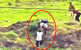 Video cha cố cứu con trai rơi vực, cả hai tử vong, mẹ cũng lao xuống theo ở Ấn Độ