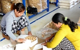 Kỹ sư công nghệ thông tin biến lục bình thành túi xách, đồ nội thất xuất khẩu