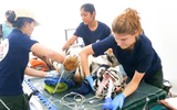 Xem các chuyên gia khám sức khỏe định kỳ cho đàn hổ ở Vườn quốc gia Phong Nha