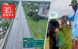 Bản tin 30s nóng: Cao tốc Bến Lức - Long Thành trước giờ thông xe; Săn chuột đồng mùa nước nổi