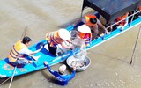 Cá linh còn 100.000 đồng/kg, giảm hơn một nửa so với đầu mùa nước nổi