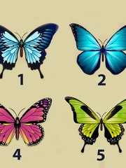 Quiz: Bạn năng động, lạc quan hay là người có tâm hồn sâu sắc?