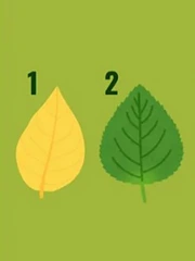 Quiz: Bạn có thể đạt được thành công ở lĩnh vực nào?