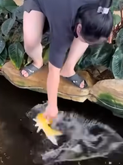Chuyện gì cũng đến tay chị em