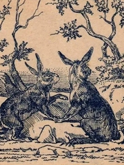 Thử tài tinh mắt: Con chó ẩn giấu ở đâu?