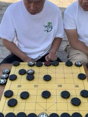 Cờ tướng úp phiên bản promax