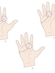 Quiz: Bạn có tố chất lãnh đạo bẩm sinh hay là người có trái tim nhân hậu?