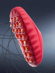 Tuyển Anh mang giày ‘thay đổi tâm trí’ trước trận gặp Serbia