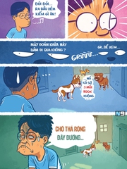 Chó thả rông và nỗi sợ '3 mũi 900 ngàn'