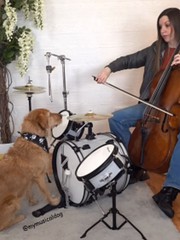 Chú chó đánh trống siêu ngầu