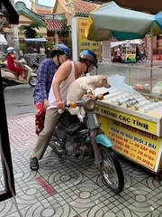 Ảnh vui 18-11: 'Lựa tờ vé số đi ba, trúng lên voi, trật xuống làm bạn với con'