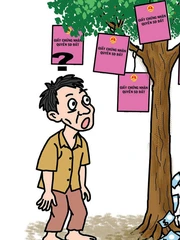 Sổ đỏ: Kẻ ăn không hết người lần chẳng ra