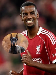 Alexander Isak mua chó 1 tỉ đồng làm ‘vệ sĩ’ sau khi bị dọa giết