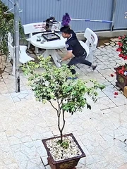 Đã nuôi mèo lại còn nuôi chim