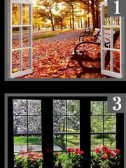 Quiz: Bạn sở hữu lợi thế gì khiến người khác phải chú ý?