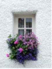 Quiz: Chọn một cánh cửa để khám phá trái tim của chính bạn