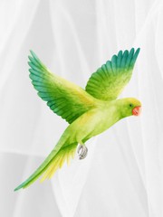 Quiz: Bạn cởi mở, sáng tạo hay là người chu đáo và trung thành