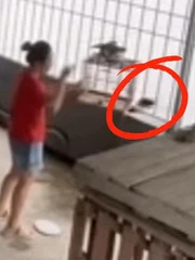 Vợ thả chim chồng nuôi, xong quay đi như chưa có chuyện gì xảy ra