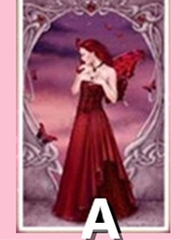 Tarot: Gần đây có bao nhiêu người thật lòng yêu thương bạn?