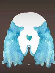 Quiz: Bạn hướng nội hay hướng ngoại?