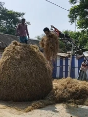 Nhóm thanh niên Ấn Độ xây đụn rơm theo phong cách có 1-0-2