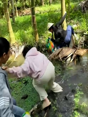 Nhóm bạn cười như được mùa khi thấy cô gái ngã xuống mương