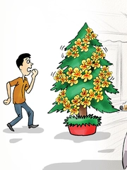 Chưa Noel đã phải lo cái Tết