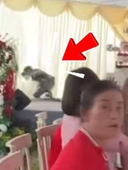 MC dở khóc dở cười vì vô tình cướp spotlight của cô dâu chú rể