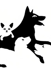 Quiz: Số lượng con chó đếm được tiết lộ tuổi não của bạn