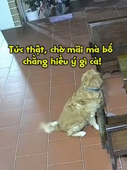 Cậu vàng buồn vì đi mua bánh về nhờ bóc mà sen không hiểu ý