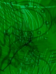 Quiz: Bạn sở hữu ý chí mạnh mẽ hay là người mang nhiều suy tư quá khứ