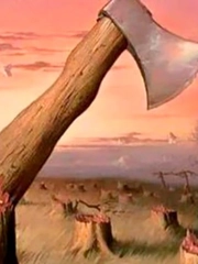 Quiz: Bạn đang cảm nhận cuộc sống thế nào?