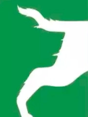 Quiz: Bạn quyết đoán hay là người giỏi hòa giải