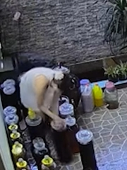 Cú trượt tay đi ngay 3 triệu rưỡi