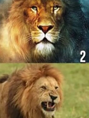 Quiz: Bạn cần mẫu người bạn đời nào?