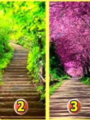 Quiz: Bạn sở hữu một tâm hồn tự do, trong sáng hay trái tim rộng mở