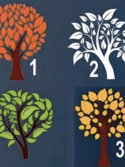 Quiz: Bạn thông minh, tháo vát hay là người điềm đạm, lý trí