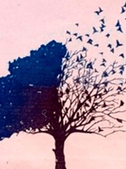 Quiz: Khuyết điểm lớn nhất của bạn là gì?