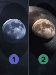 Quiz: Bạn đa cảm đến mức nào?