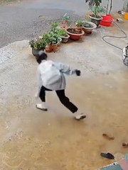 'Lăng ba vi bộ' phiên bản lỗi