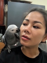 Chú vẹt thông minh hiểu lời cô chủ nói